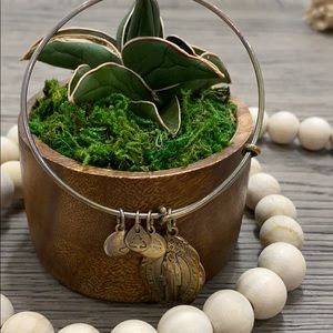 Alex and ani bracelet